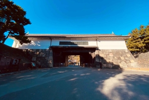 Tokion kävelykierros: Tsukijin tori, suitsuke, keisarillinen palatsi