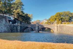 Tokion kävelykierros: Tsukijin tori, suitsuke, keisarillinen palatsi