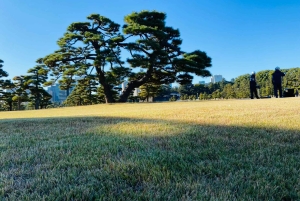 Tokion kävelykierros: Tsukijin tori, suitsuke, keisarillinen palatsi