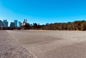 Tokion kävelykierros: Tsukijin tori, suitsuke, keisarillinen palatsi