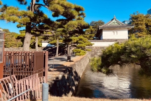 Tokion kävelykierros: Tsukijin tori, suitsuke, keisarillinen palatsi