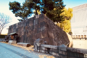 Tokion kävelykierros: Tsukijin tori, suitsuke, keisarillinen palatsi