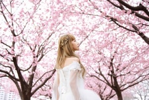 Tokyo: Bryllups- og kimono-fototurer | Landemerker og hager
