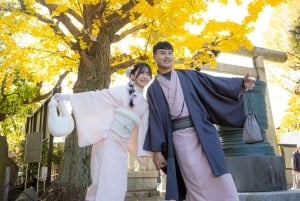 Tokyo: Bryllups- og kimono-fototurer | Landemerker og hager