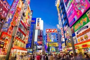 Tokyo: Privat tur med en lokal guide til vinterbelysningen
