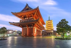 Tokyo: Privat tur med en lokal guide til vinterbelysningen