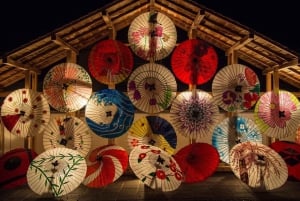 Tokyo: Privat tur med en lokal guide til vinterbelysningen