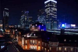 Tokyo: Privat tur med en lokal guide til vinterbelysningen