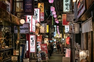 Tokyo: Privat tur med en lokal guide til vinterbelysningen
