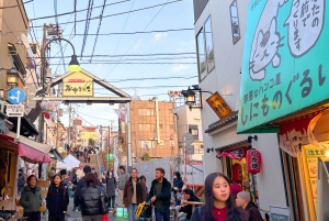 Tokyo : Visite à pied de l'histoire du district de Yanaka