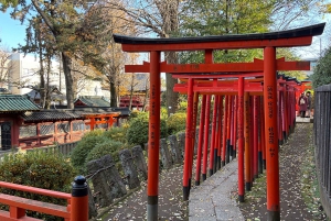 Tokyo : Visite à pied de l'histoire du district de Yanaka