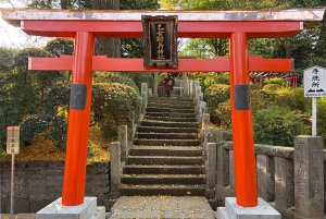 Tokyo : Visite à pied de l'histoire du district de Yanaka