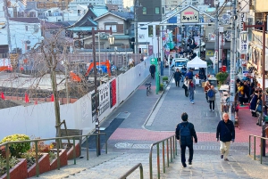 Tokyo : Visite à pied de l'histoire du district de Yanaka