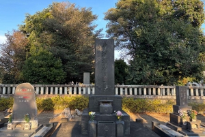 Tokyo : Visite à pied de l'histoire du district de Yanaka