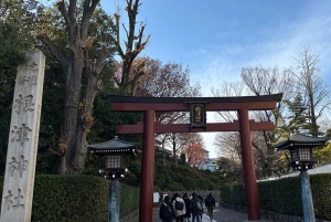 Tokyo : Visite à pied de l'histoire du district de Yanaka