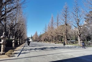 Tokyo: Yasukuni Shrine and Yushukan Museum Guided Tour