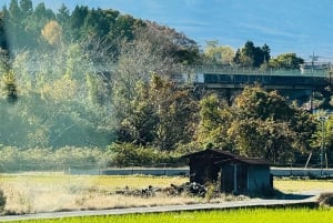 Tokio/Yokohama: Fuji ja Hakone – yksityinen päiväkierros