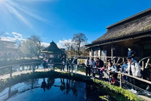 Tokio/Yokohama: Fuji ja Hakone – yksityinen päiväkierros