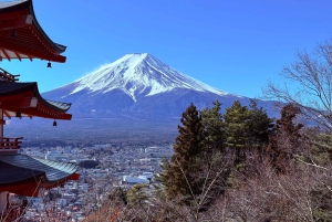 Tokio/Yokohama: Fuji ja Hakone – yksityinen päiväkierros