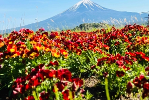 Tokio/Yokohama: Fuji ja Hakone – yksityinen päiväkierros