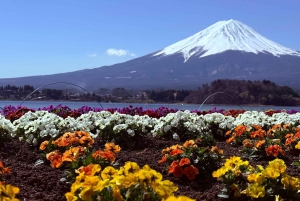 Tokio/Yokohama: Fuji ja Hakone – yksityinen päiväkierros