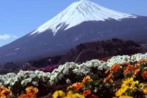 Tokio/Yokohama: Fuji ja Hakone – yksityinen päiväkierros