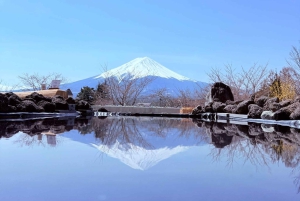 Tokio/Yokohama: Fuji ja Hakone – yksityinen päiväkierros