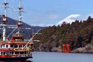 Tokio/Yokohama: Fuji ja Hakone – yksityinen päiväkierros
