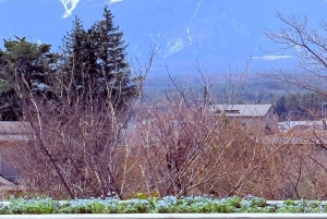 Tokio/Yokohama: Fuji ja Hakone – yksityinen päiväkierros