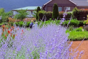 Tokio/Yokohama: Fuji ja Hakone – yksityinen päiväkierros