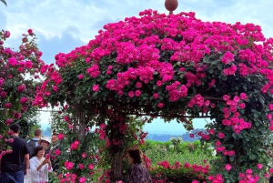 Tokio/Yokohama: Fuji ja Hakone – yksityinen päiväkierros
