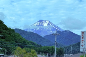 Tokio/Yokohama: Fuji ja Hakone – yksityinen päiväkierros