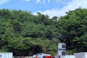Tokio/Yokohama: Fuji ja Hakone – yksityinen päiväkierros