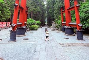 Tokio/Yokohama: Fuji ja Hakone – yksityinen päiväkierros