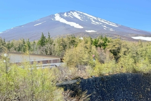 Tokio/Yokohama: Fuji ja Hakone – yksityinen päiväkierros