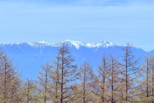 Tokio/Yokohama: Fuji ja Hakone – yksityinen päiväkierros