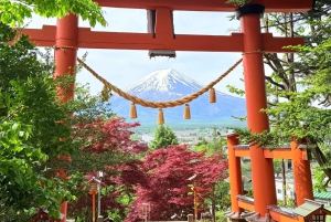 Tokio/Yokohama: Fuji ja Hakone – yksityinen päiväkierros