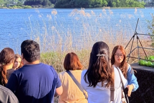 Tokio/Yokohama: Fuji ja Hakone – yksityinen päiväkierros