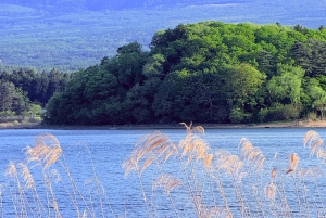 Tokio/Yokohama: Fuji ja Hakone – yksityinen päiväkierros