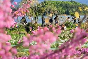 Tokio/Yokohama: Fuji ja Hakone – yksityinen päiväkierros