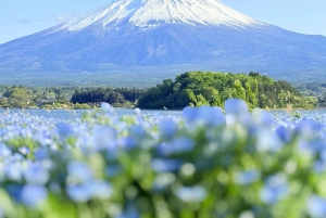 Tokio/Yokohama: Fuji ja Hakone – yksityinen päiväkierros