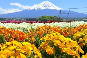 Tokio/Yokohama: Fuji ja Hakone – yksityinen päiväkierros