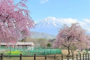 Tokio/Yokohama: Fuji ja Hakone – yksityinen päiväkierros