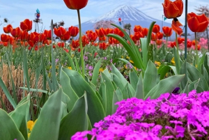 Tokio/Yokohama: Fuji ja Hakone – yksityinen päiväkierros
