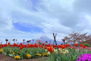 Tokio/Yokohama: Fuji ja Hakone – yksityinen päiväkierros