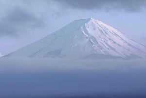 Tokio/Yokohama: Fuji ja Hakone – yksityinen päiväkierros
