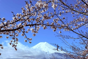 Tokio/Yokohama: Fuji ja Hakone – yksityinen päiväkierros
