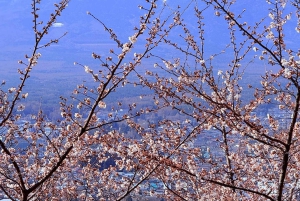 Tokio/Yokohama: Fuji ja Hakone – yksityinen päiväkierros