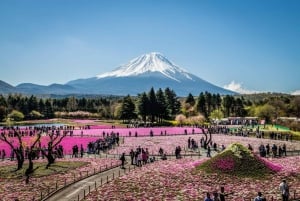 Visite privée du mont Fuji au départ de Tokyo/Yokohama (personnalisable)