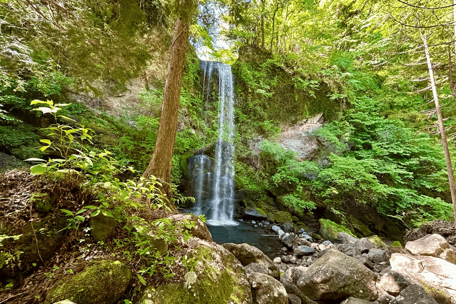 Tokio: meditatie-ervaring bij de Yuhi no Taki-waterval